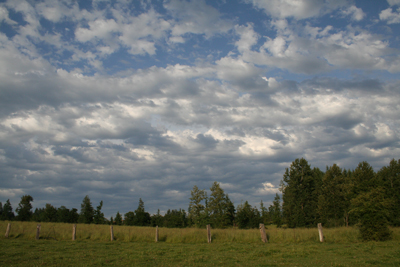 "Sky, By Kimberly Rickman"